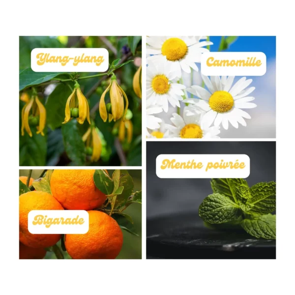 Utiliser des huiles essentielles pour son bien être
