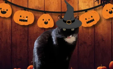 10 idées DIY Halloween : décorations faciles et économiques